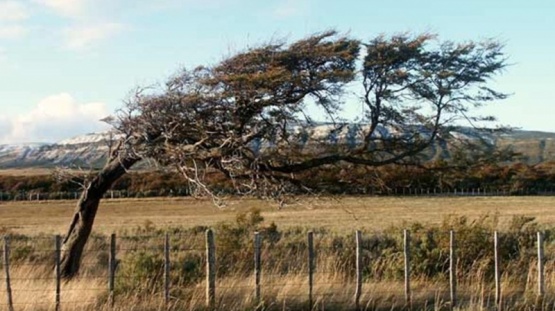 FUERTE VIENTO EN NOCHEBUENA 